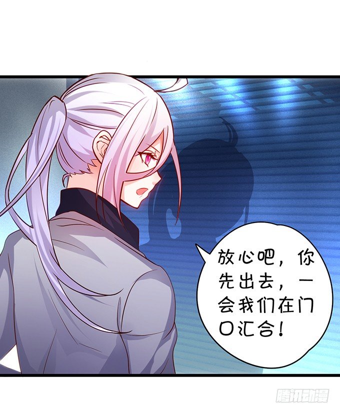 小猫咪，我们又见面了~51