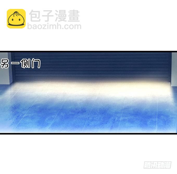 小猫咪，我们又见面了~56