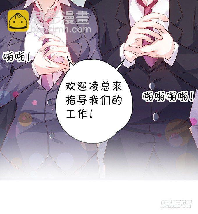 小猫咪，我们又见面了~81