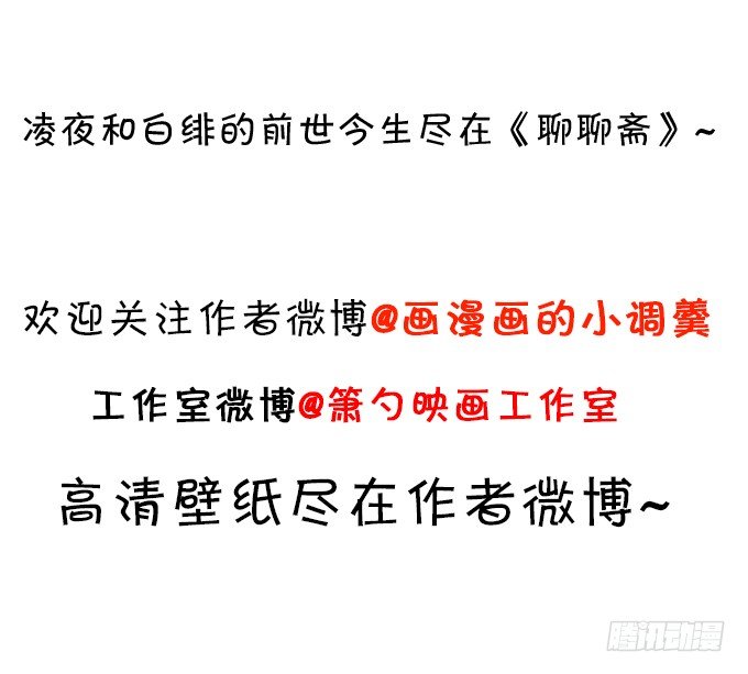 小猫咪，我们又见面了~85