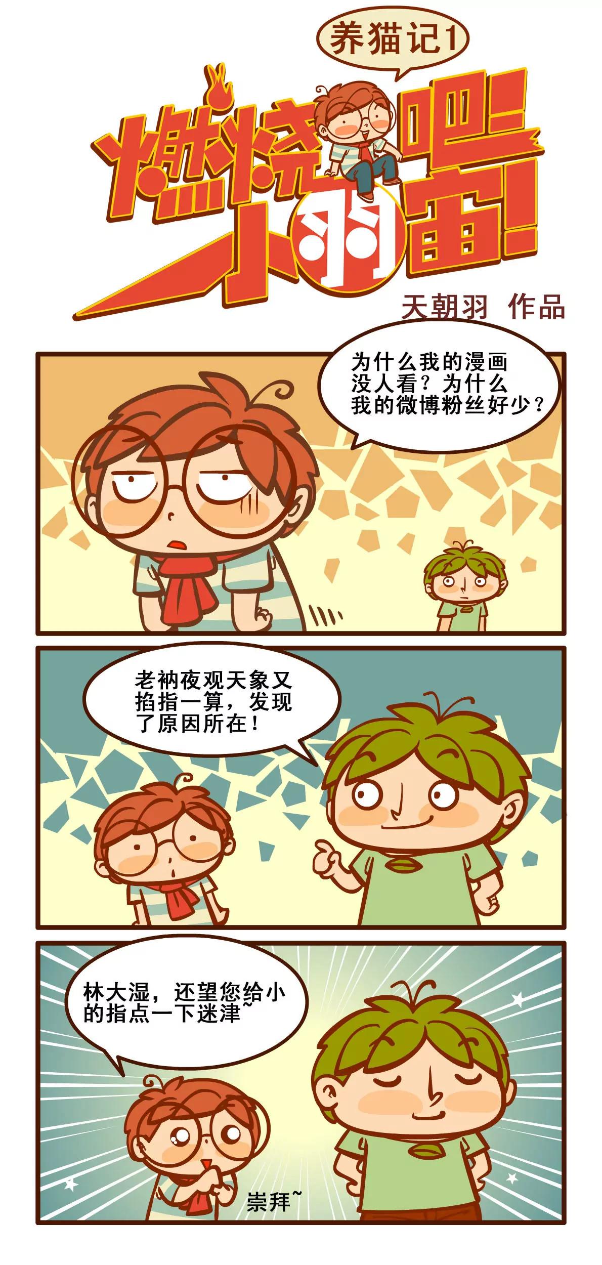 养猫记10