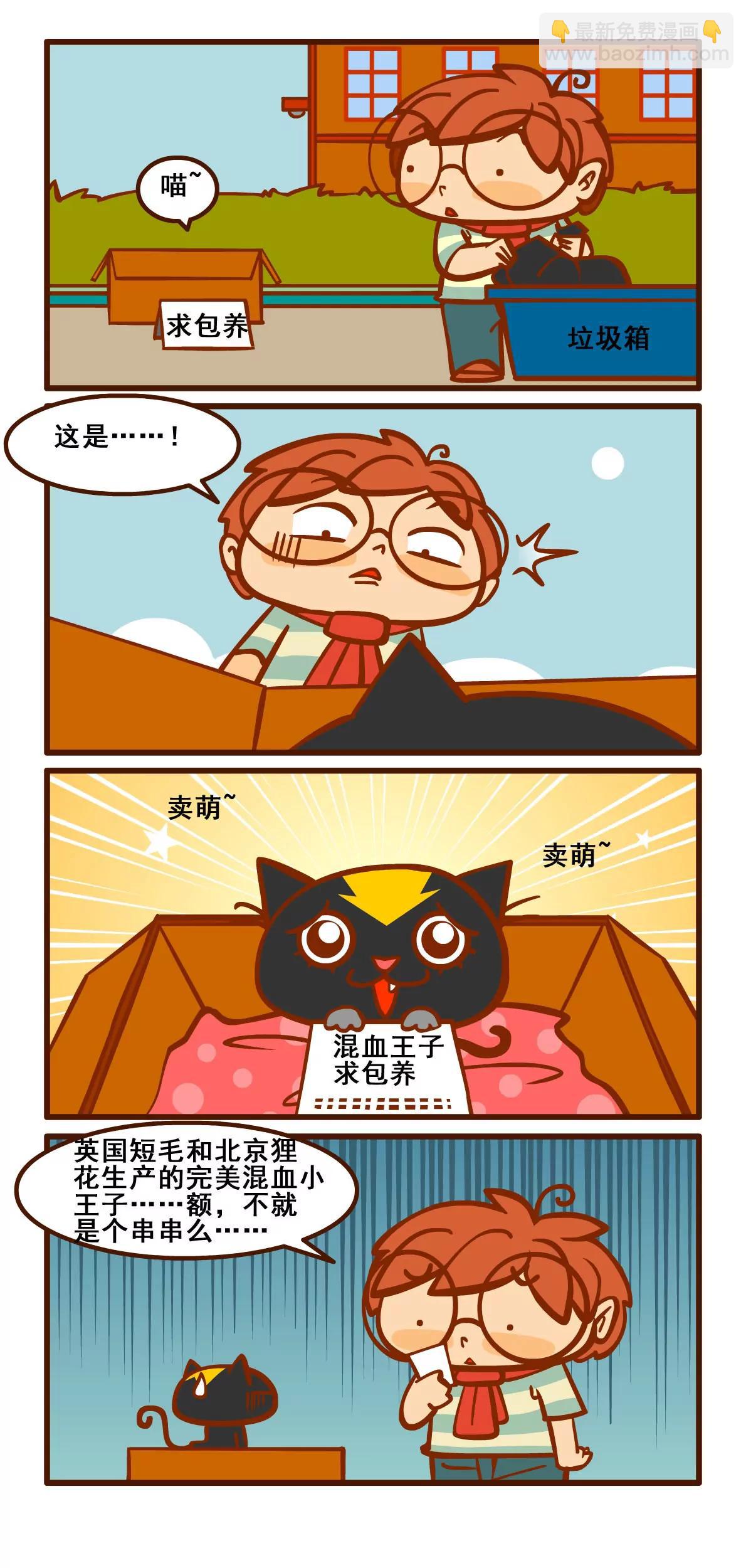 养猫记12
