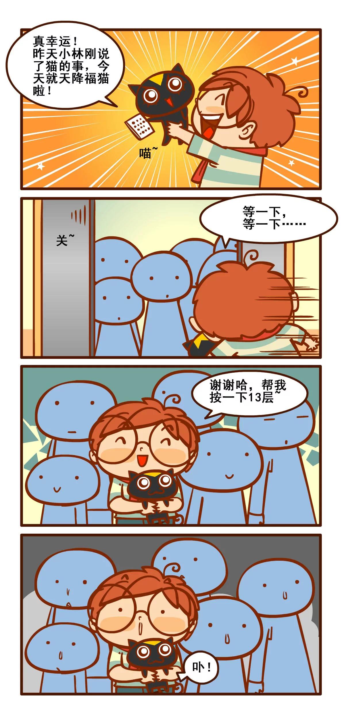 养猫记13