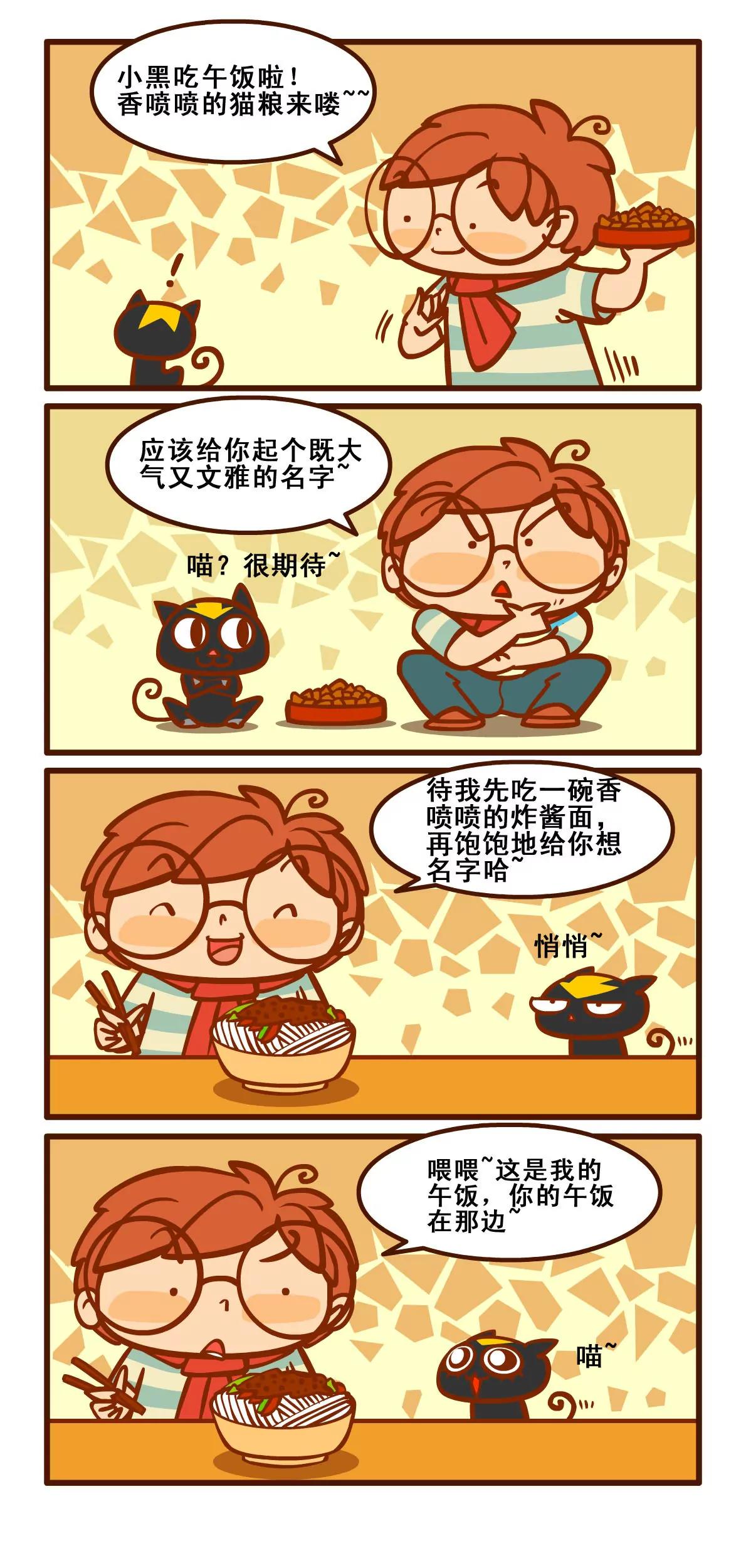 养猫记16