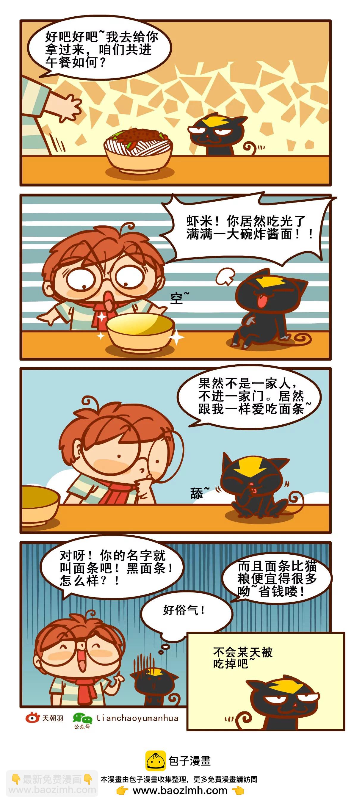养猫记17
