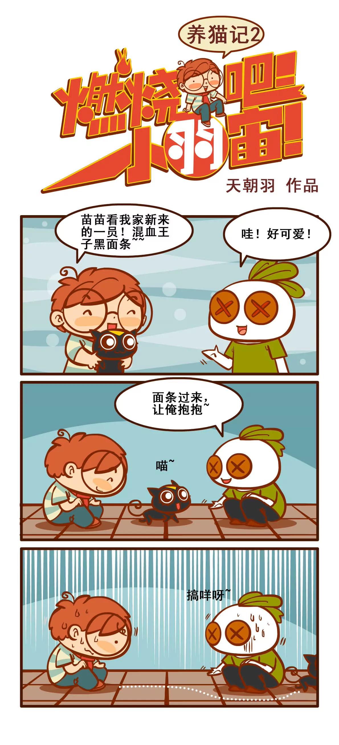 养猫记0
