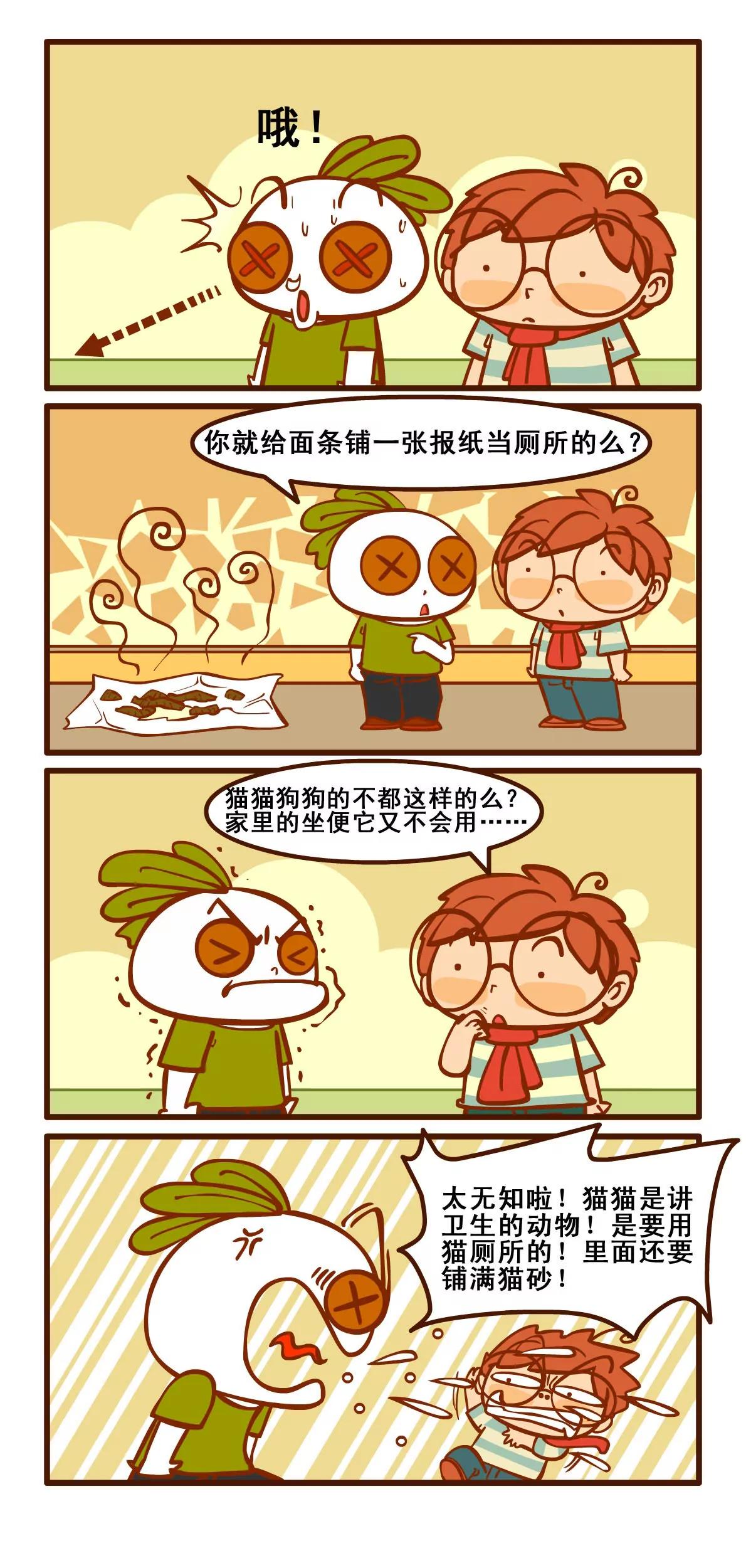养猫记2