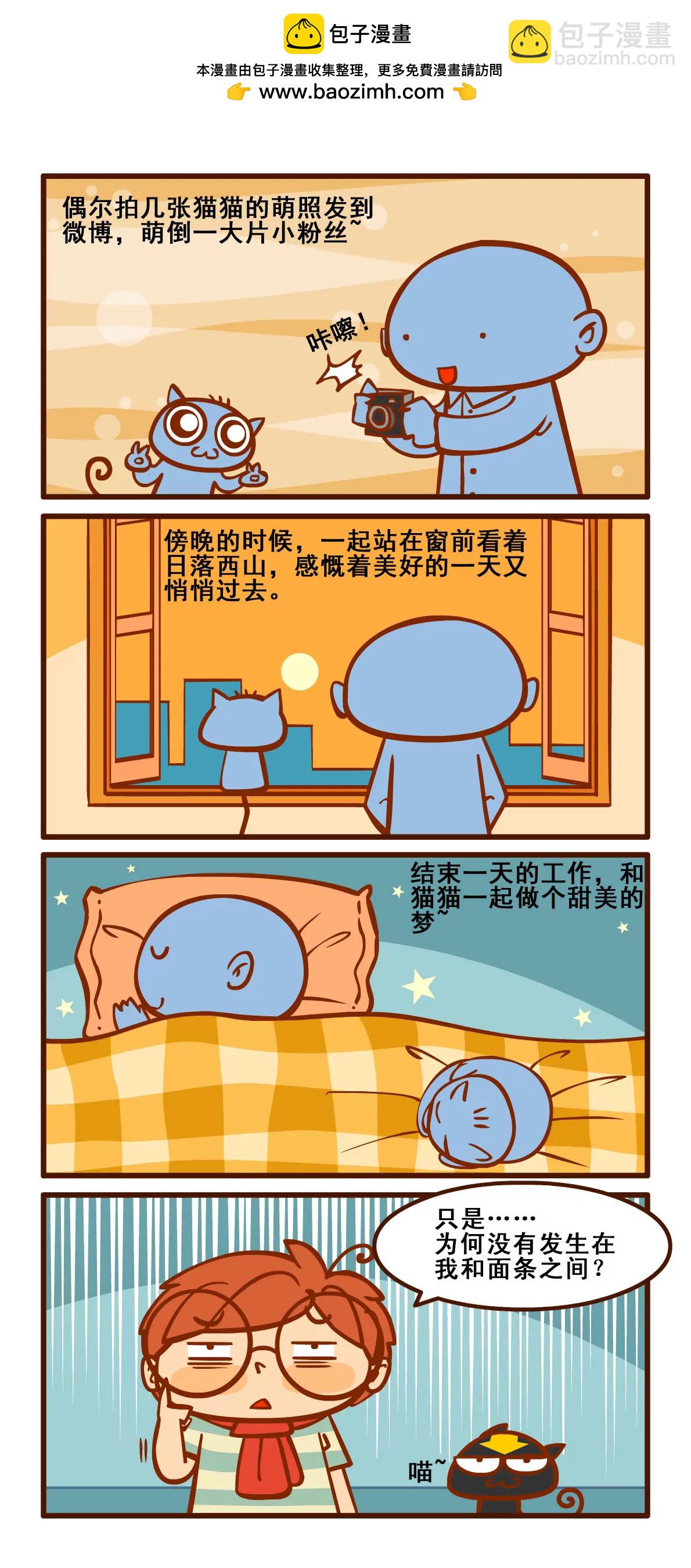养猫记31