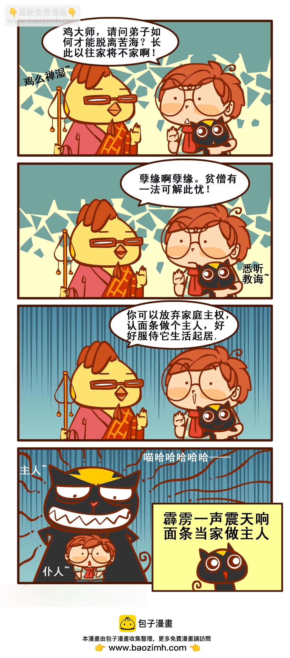 养猫记37
