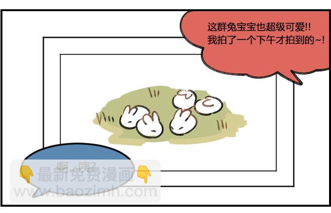 动物园一一之三2