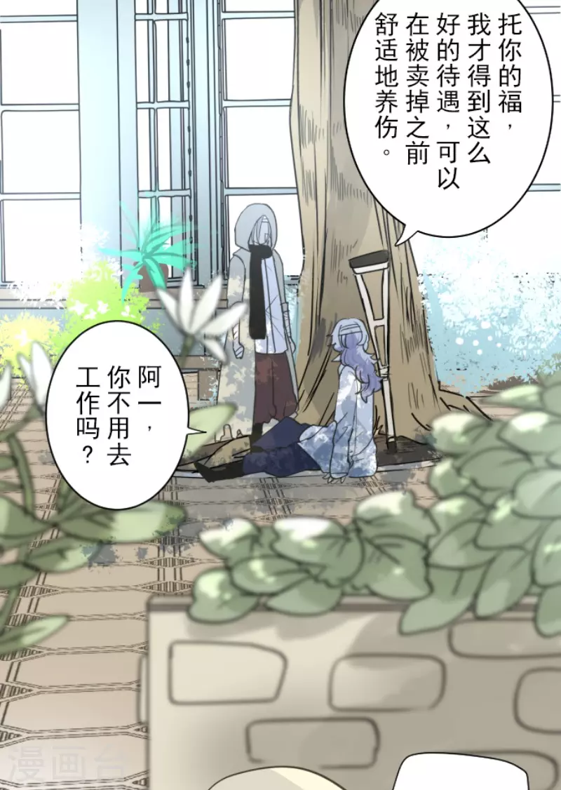 第220话 过去篇3133