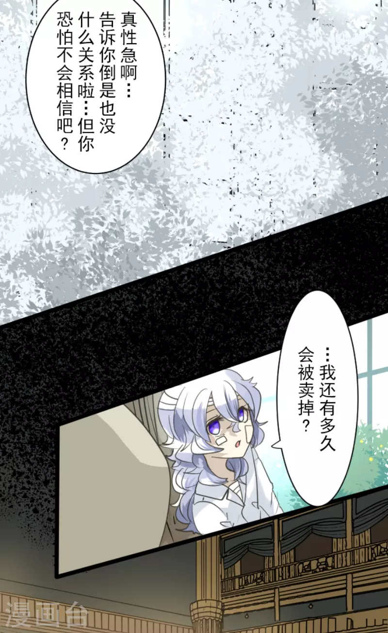 第220话 过去篇3135