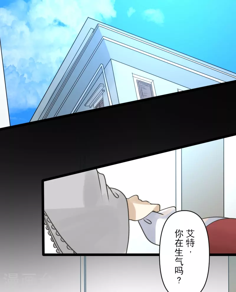 第245话 全民公投41