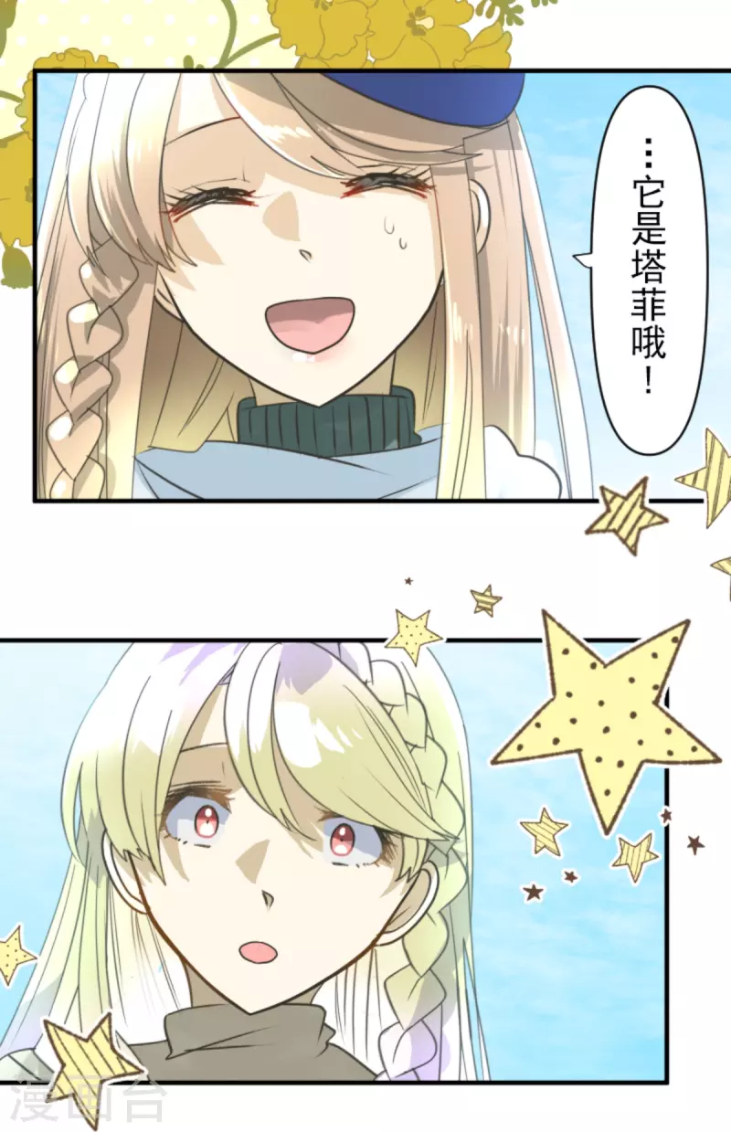第272话 强者的定义14