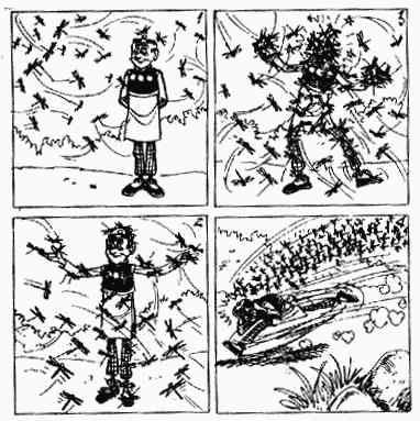第5回35