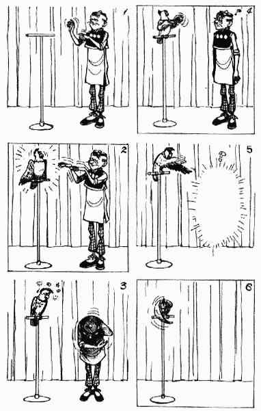 第9回134