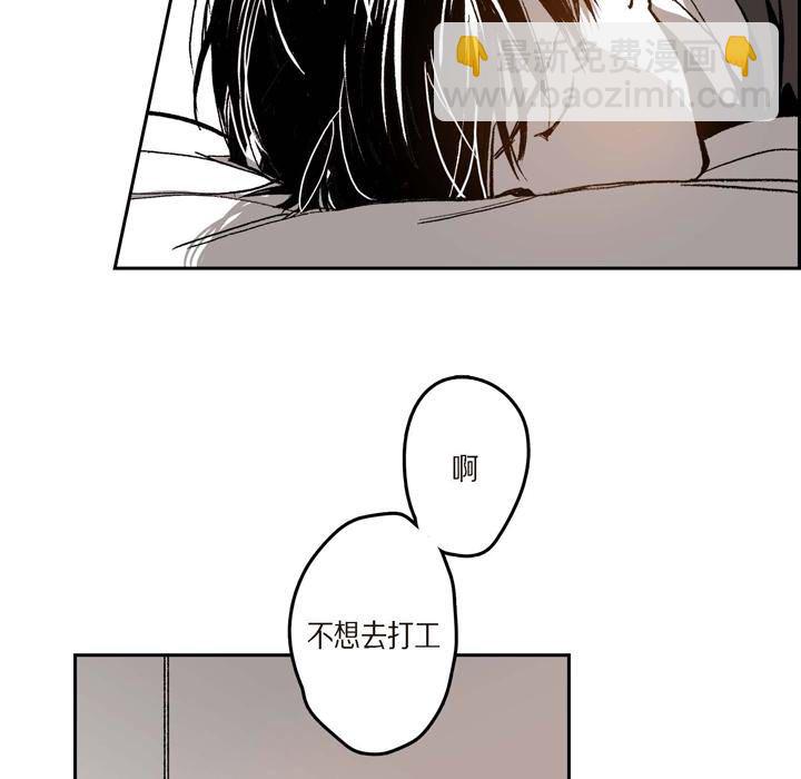4036