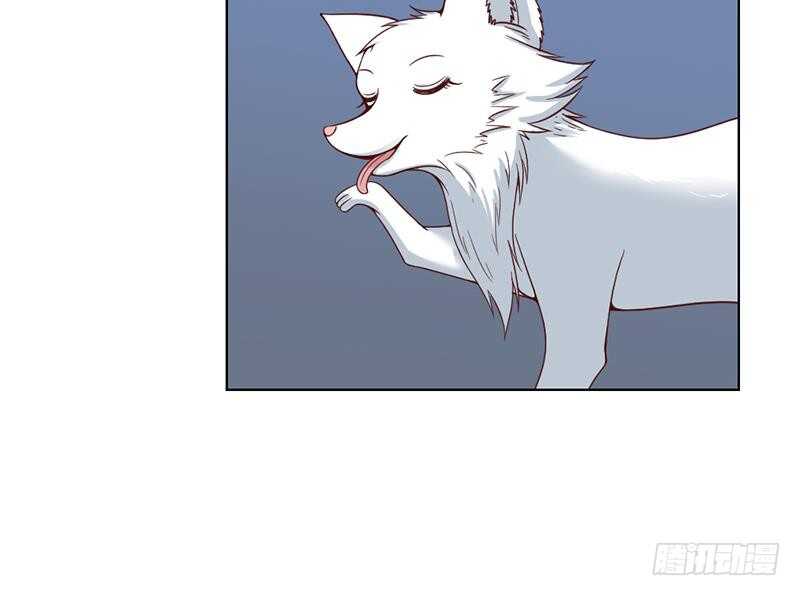 第219话 蜕变的小狐狸32