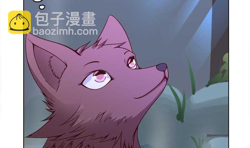 第219话 蜕变的小狐狸8