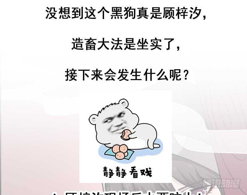 第260话 当真是顾梓汐！70