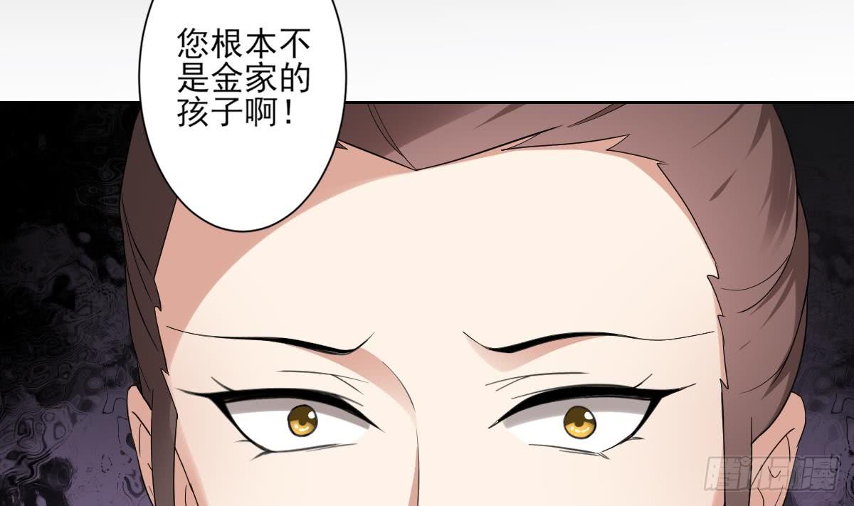 第156话 顾家的秘密11