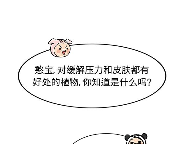 第7话 香氛之旅4