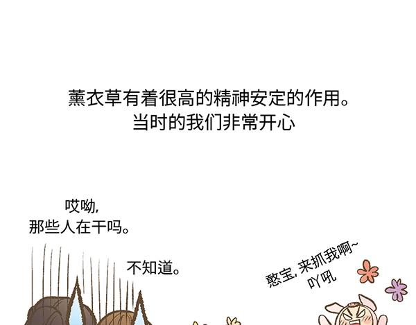 第7话 香氛之旅51