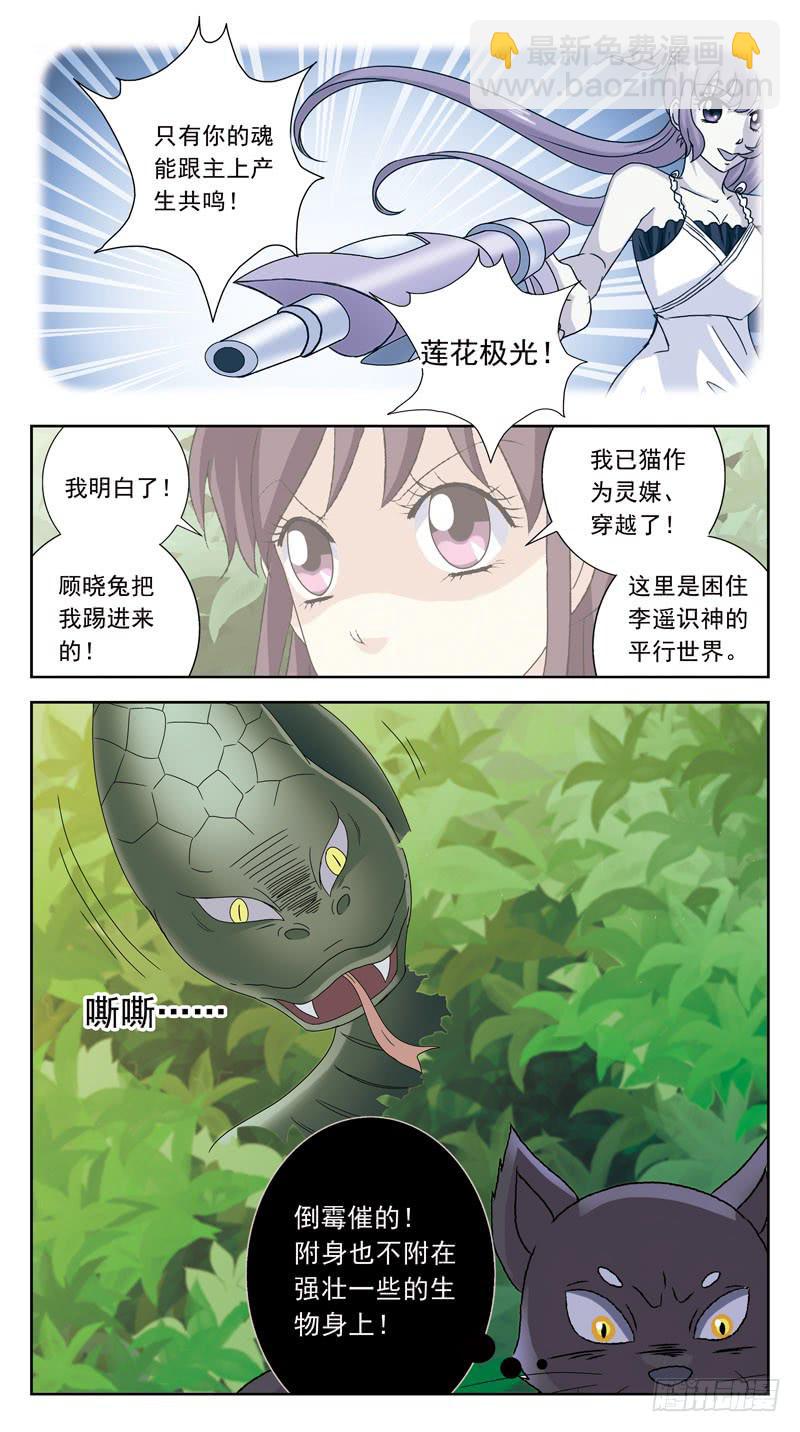 198话-巫医白茶14