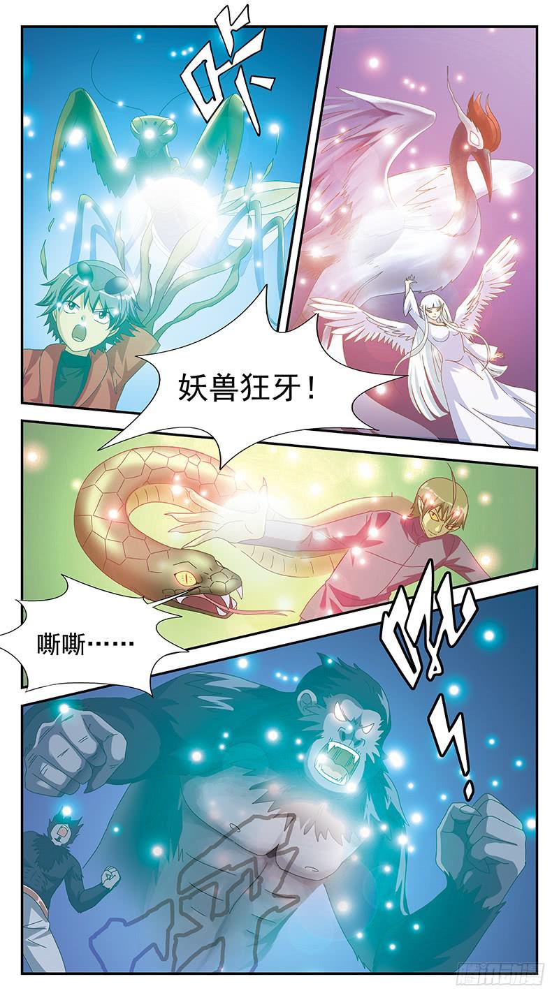 294话-小战局12