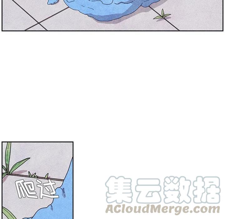 621
