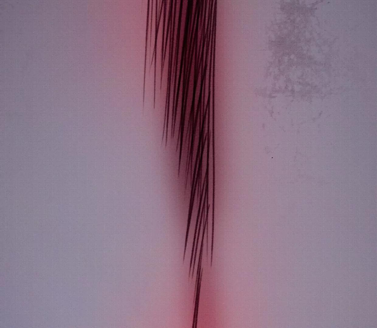 31 过年啦109