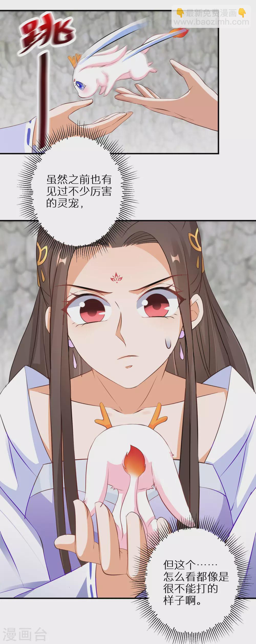 第47话 神奇的灵宠9