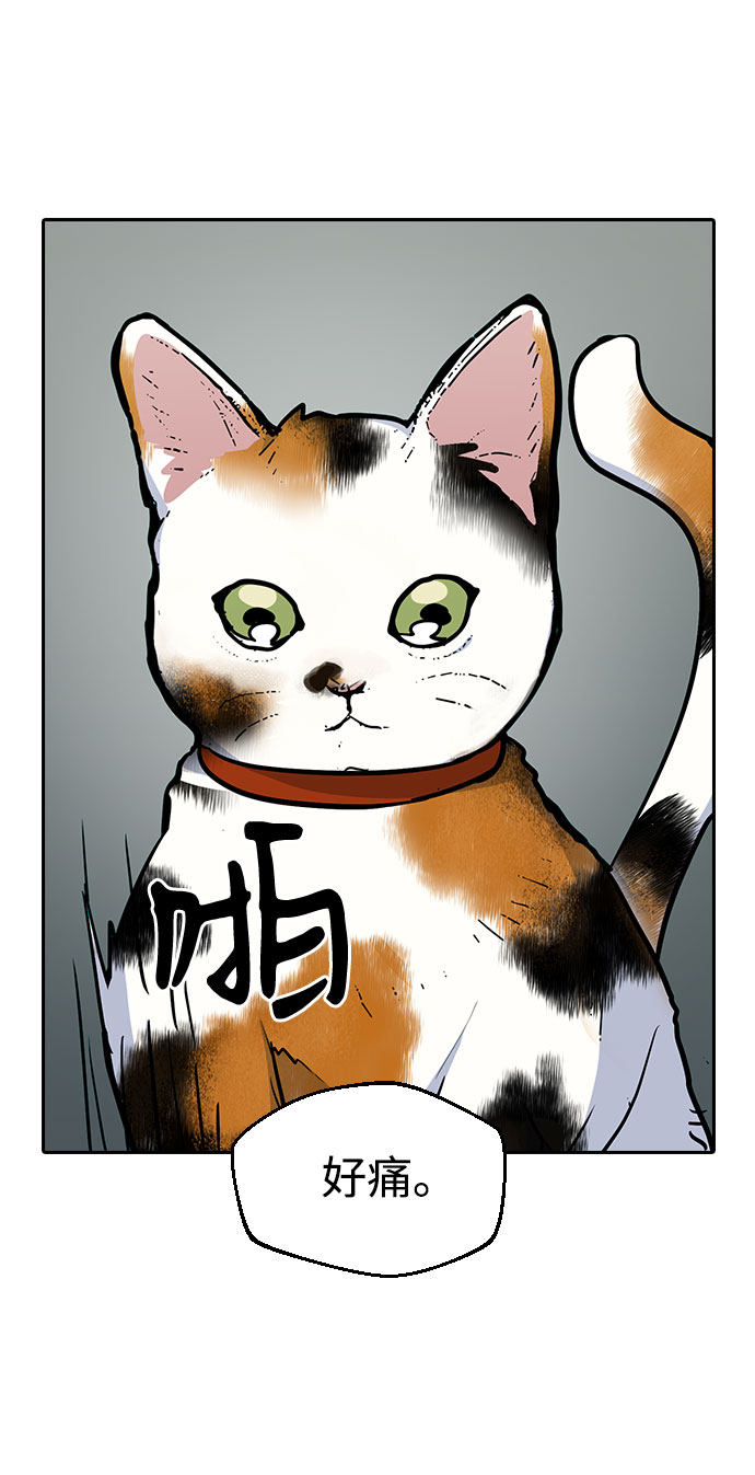 第39话51