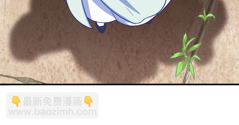 第四十三话 紫衫金花42