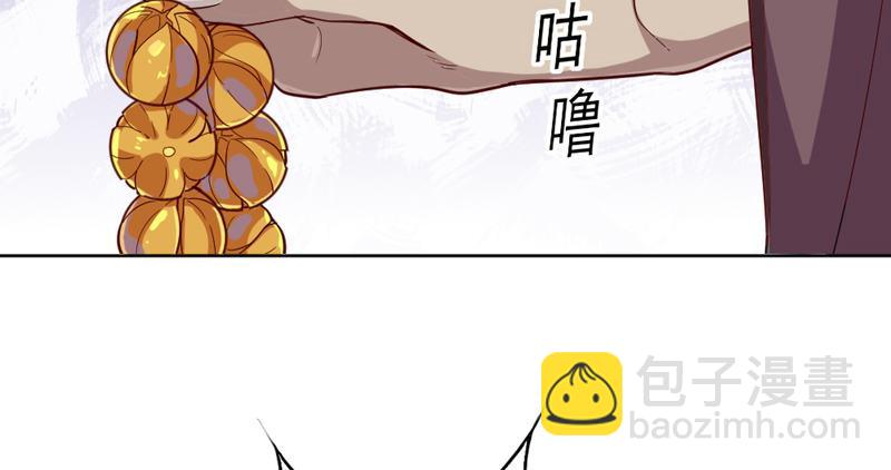 第四十三话 紫衫金花90