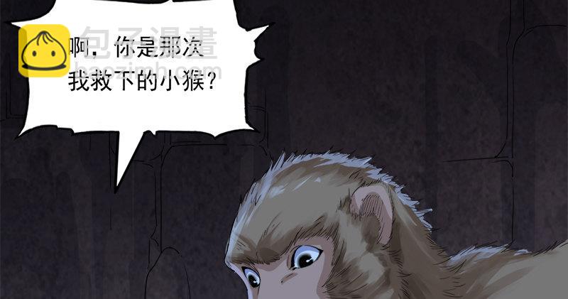 第五十五回 一入山洞遇白猿30