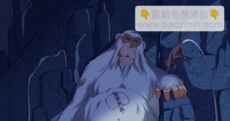 第五十五回 一入山洞遇白猿67