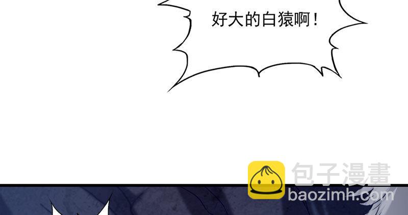第五十五回 一入山洞遇白猿70