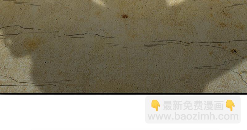 第七十三话 再受两掌99