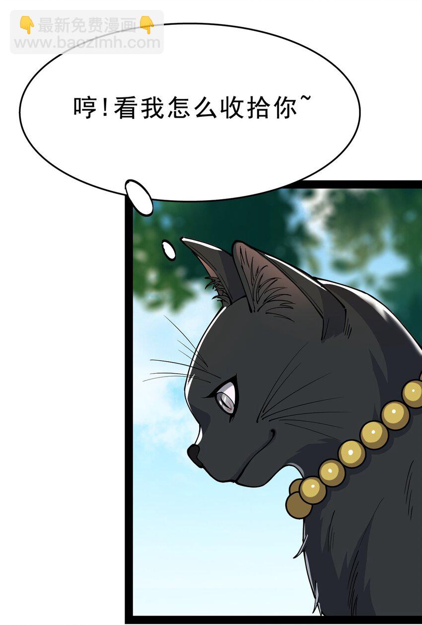 033 简直是无懈可击18