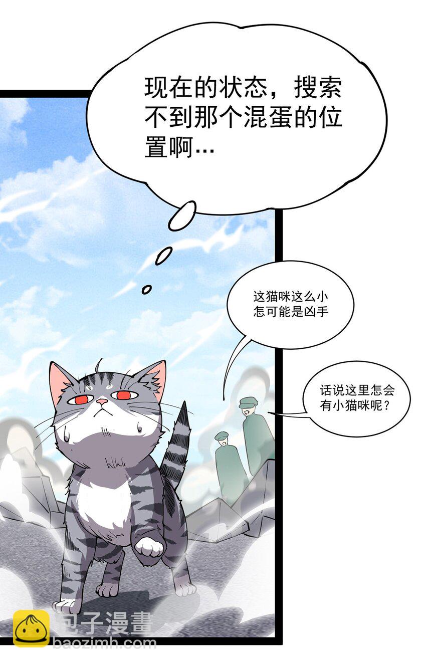 034 喵喵喵？？25