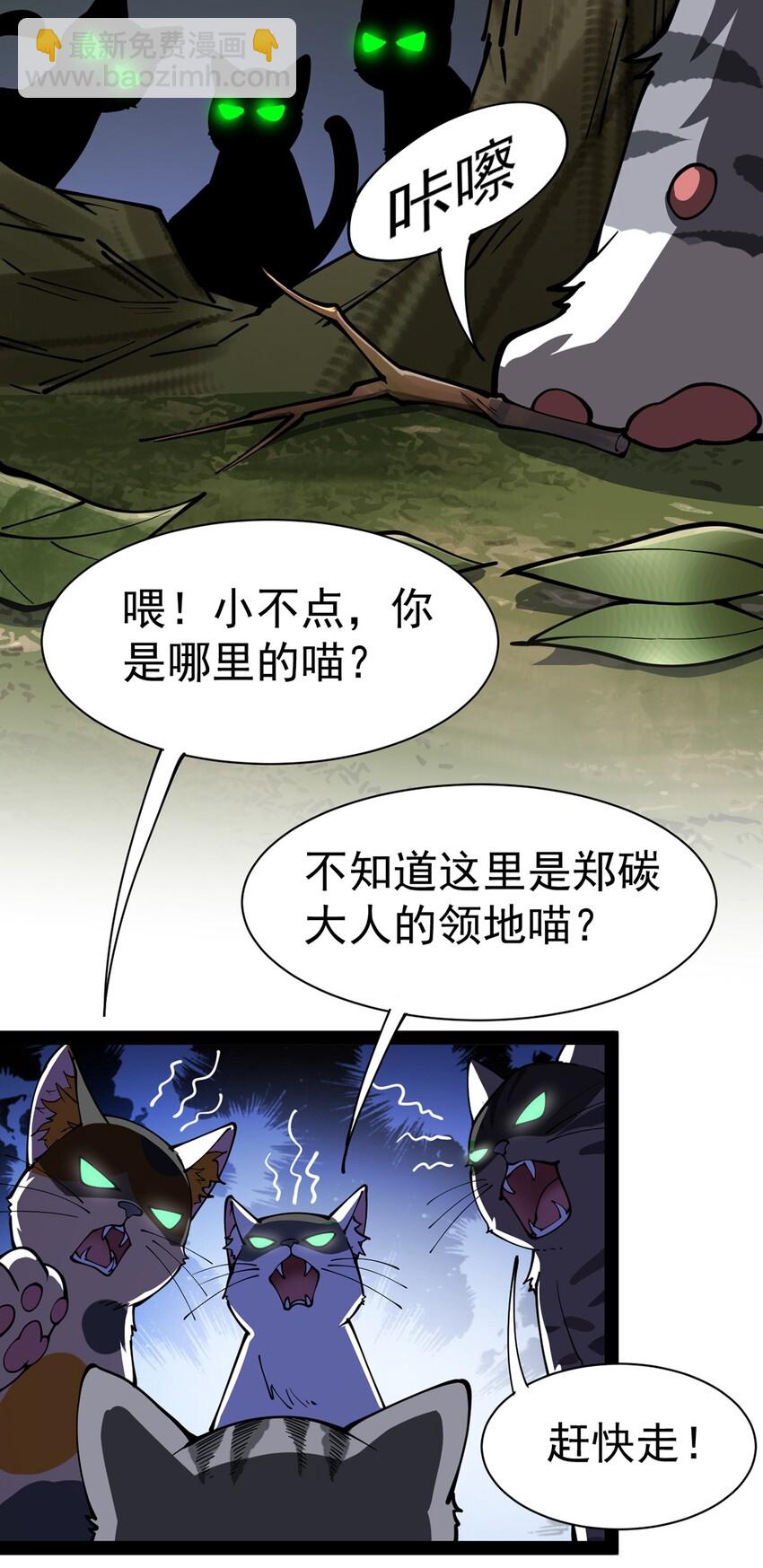 034 喵喵喵？？27