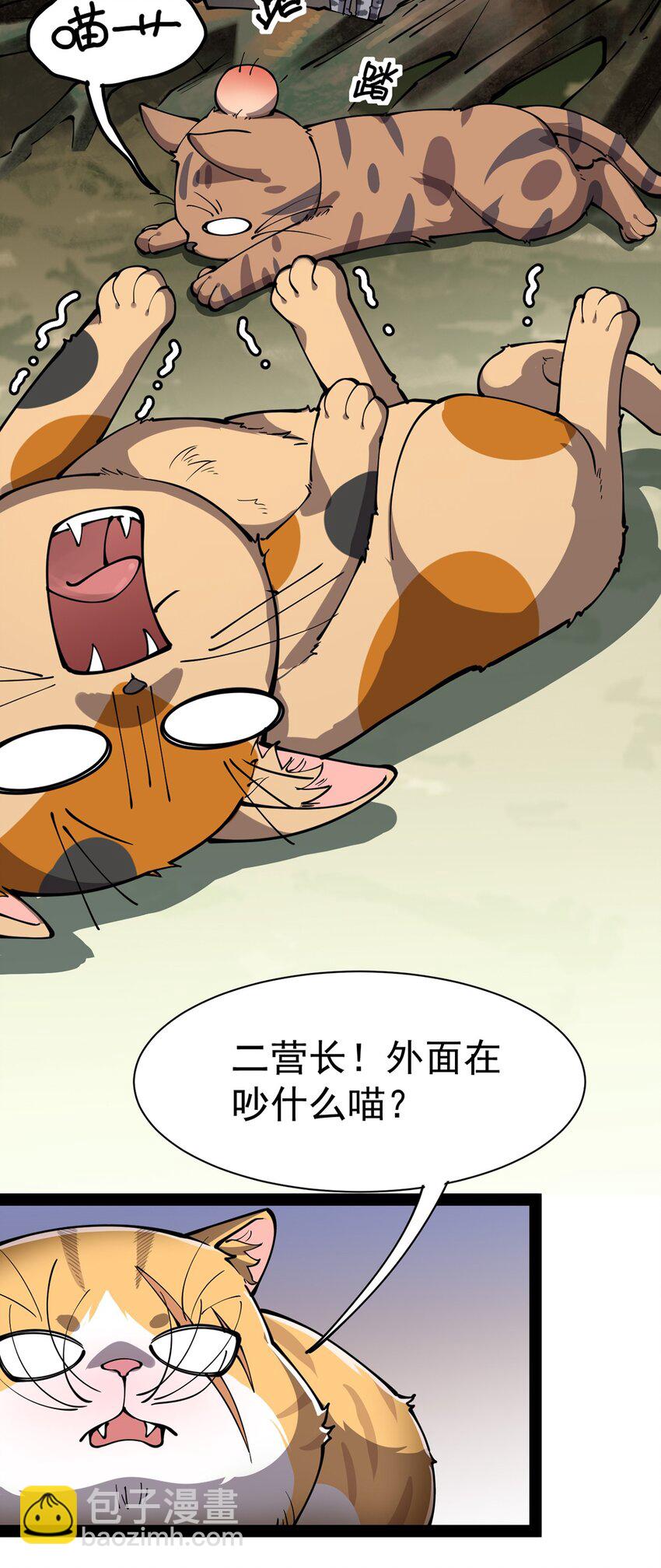 034 喵喵喵？？32