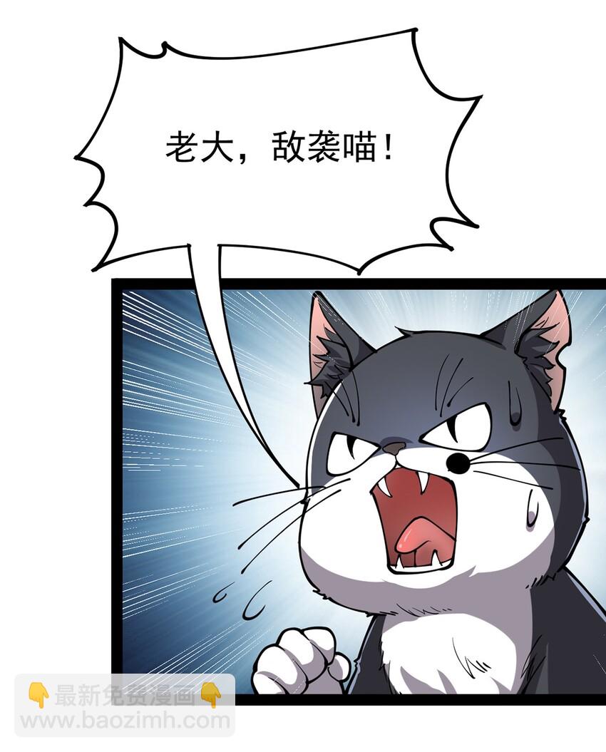 034 喵喵喵？？33