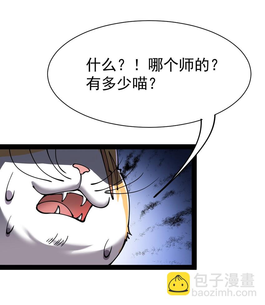034 喵喵喵？？34