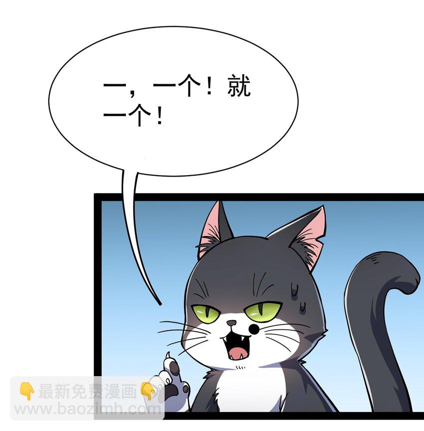 034 喵喵喵？？35