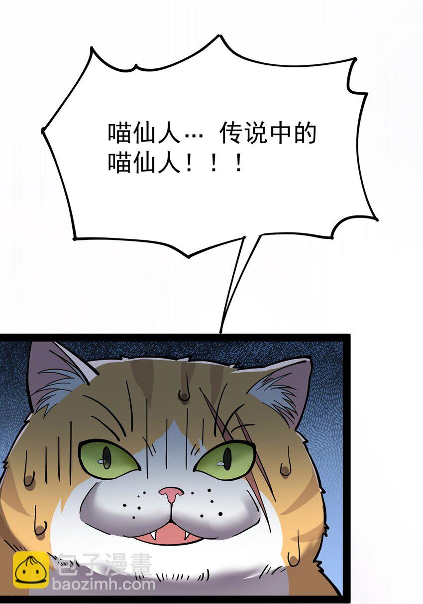 034 喵喵喵？？43