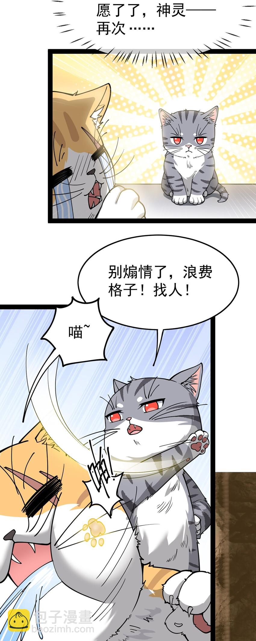 035 你们到底有什么阴谋10