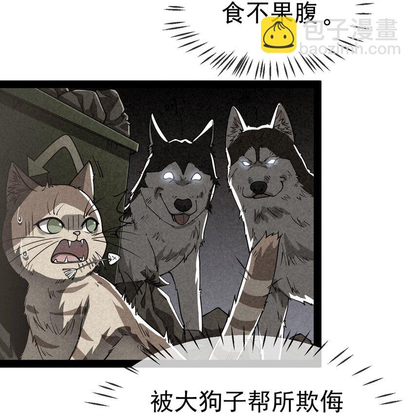 035 你们到底有什么阴谋2