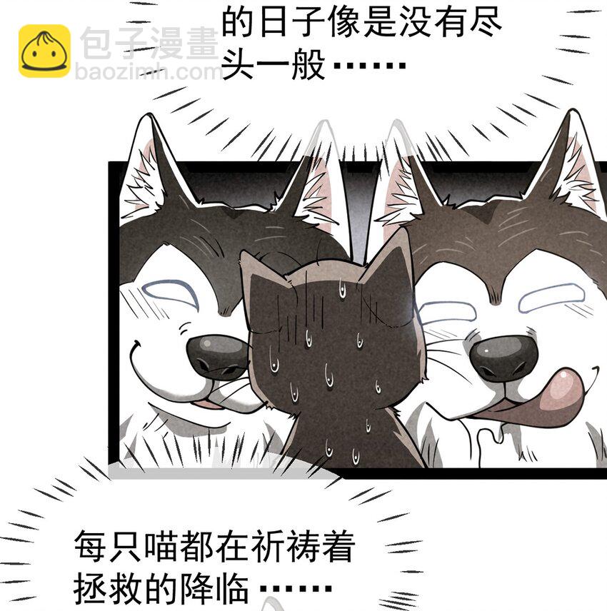 035 你们到底有什么阴谋3